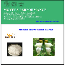 Хорошая цена Высокое качество Mucuna Birdwoodiana Extract (стебель)
